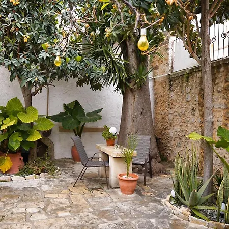 Dome Garden