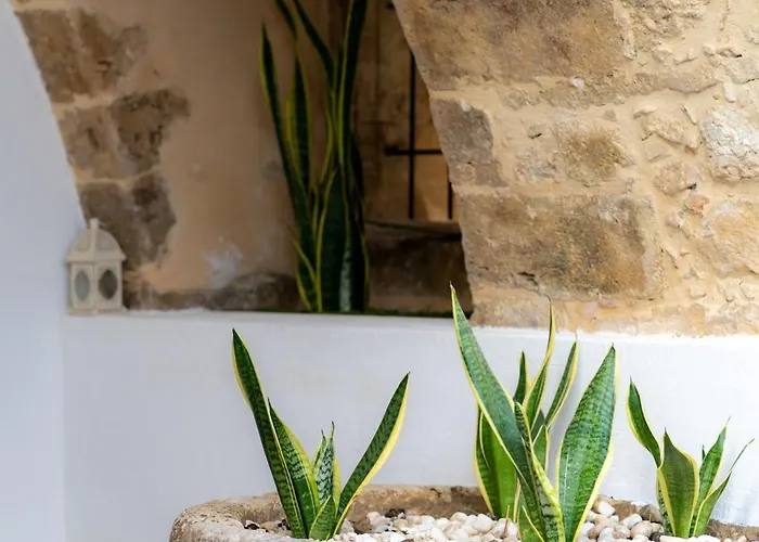 Dome Garden Διαμέρισμα