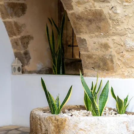 Dome Garden Apartment